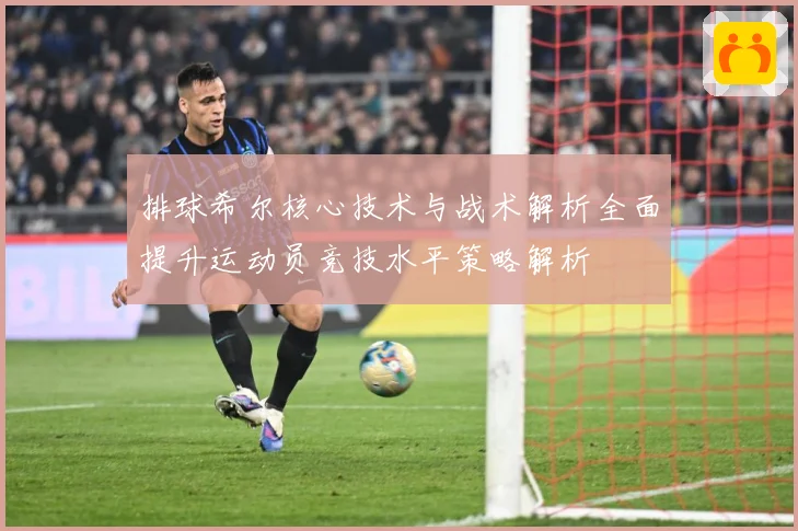 排球希尔核心技术与战术解析全面提升运动员竞技水平策略解析