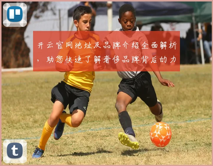 开云官网地址及品牌介绍全面解析，助您快速了解奢侈品牌背后的力量