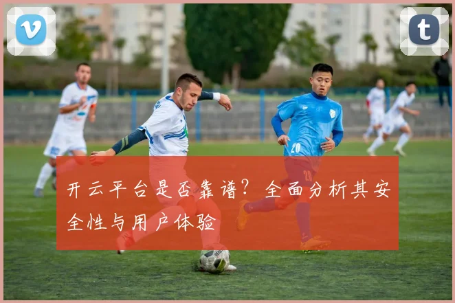 开云平台是否靠谱？全面分析其安全性与用户体验