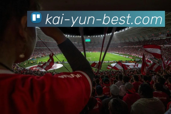 开云平台展示图