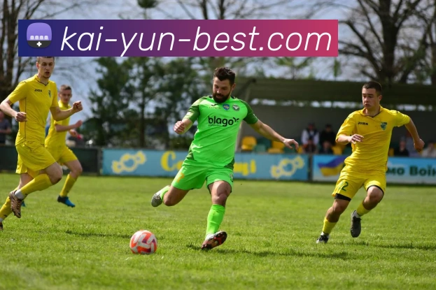 开云官网全站App